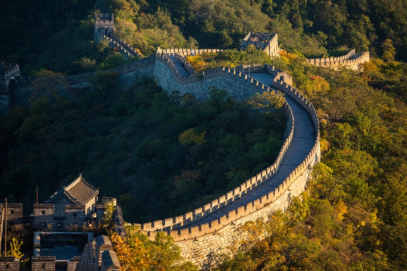 1741511340.jpg 图片.png